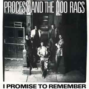 Process And The Doo Rags - I Promise To Remember flac