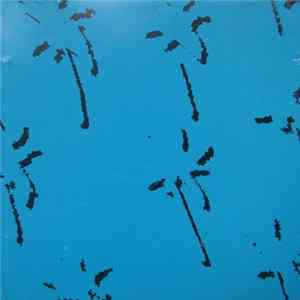 Mazzoll - Single 3 flac