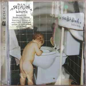 Sebadoh - Bakesale flac