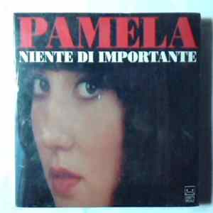 Pamela - Niente Di Importante flac
