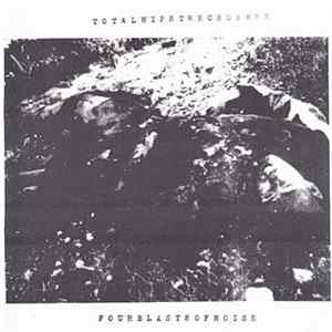 Totalhipstercrusher / Wake The Machines - Fourblastsofnoise / Wake The Machines flac