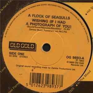 A Flock Of Seagulls - Wishing (If I Had A Photograph Of You) / The More You Live, The More You Love flac