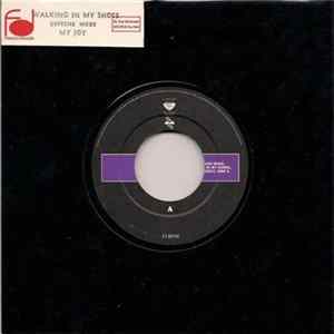 Depeche Mode - Walking In My Shoes flac