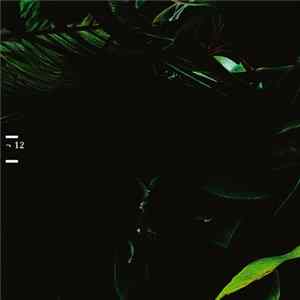 Various - ¬ 12 flac