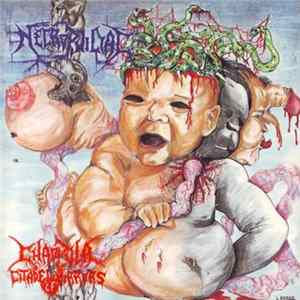 Necrophiliac - Chaopula. Citadel Of Mirrors flac