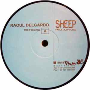 Raoul Delgardo - The Feeling flac