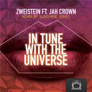 Zweistein - In Tune With The Universe flac