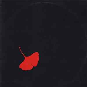 Asmus Tietchens - Notturno flac