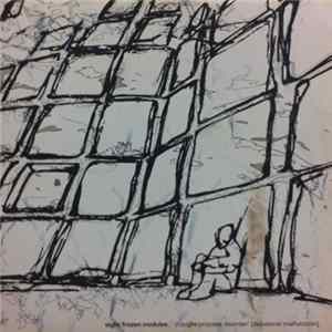 Eight Frozen Modules - Thought Process Disorder flac