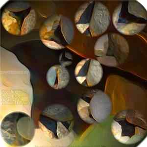 Zanstones - Oak Trees Can't Read To Save Their Lives flac