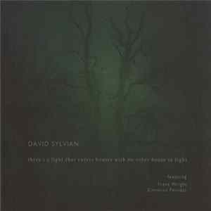 David Sylvian Featuring Franz Wright, Christian Fennesz - There's A Light That Enters Houses With No Other House In Sight flac
