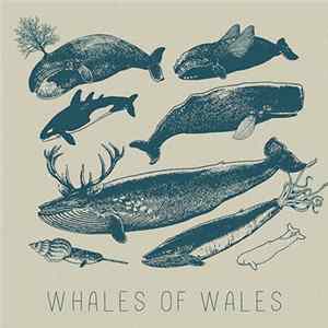 Whales Of Wales - Whales Of Wales flac